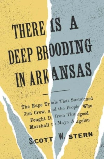 Book cover of: There Is a Deep Brooding in Arkansas. By: Scott W. Stern