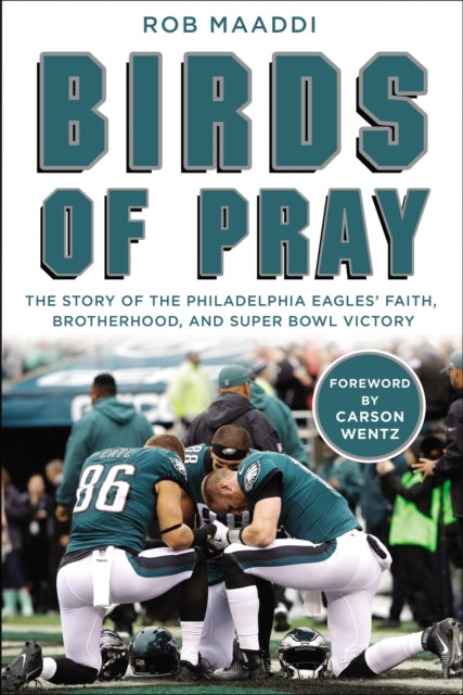 Book cover of: Birds of Pray. By: Rob Maaddi