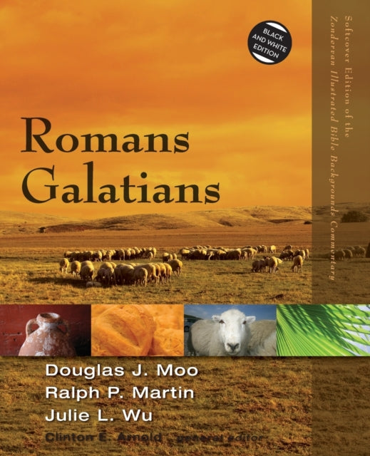 Book cover of: Romans, Galatians. By: Douglas J. Moo