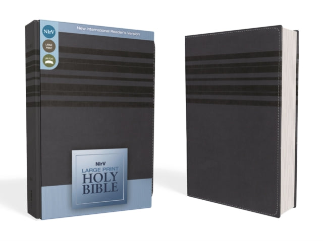 Book cover of: NIrV, Holy Bible, Large Print, Leathersoft, Blue