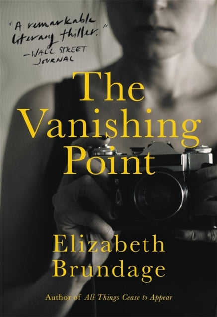 Book cover of: The Vanishing Point. By: Elizabeth Brundage