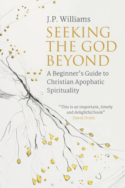 Book cover of: Seeking the God Beyond. By: J.P. Williams