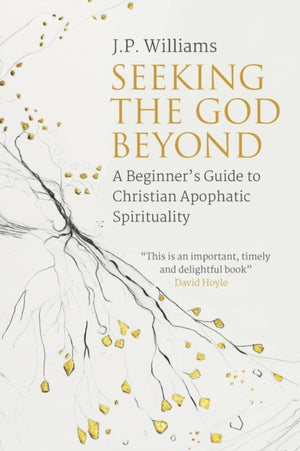 Seeking the God Beyond