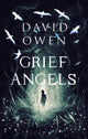 Book cover of: Grief Angels. By: Owen, David