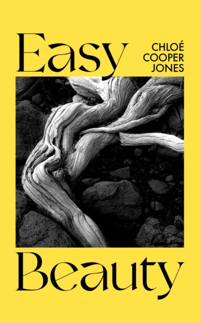 Book cover of: Easy Beauty. By: Chloé Cooper Jones