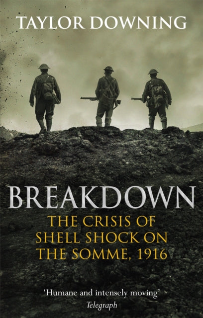 Book cover of: Breakdown. By: Taylor Downing