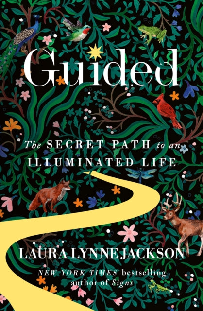 Guided, The secret path to an illuminated life 9780349440583 Laura Lynne Jackson