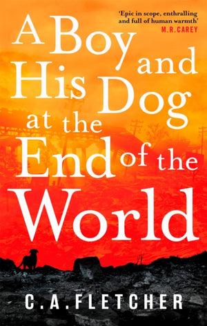 Boy and his Dog at the End of the World