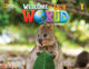 Book cover of: Welcome to Our World 1: Activity Book. By: Joan Kang Shin