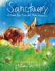 Book cover of: Sanctuary. By: Julia Denos