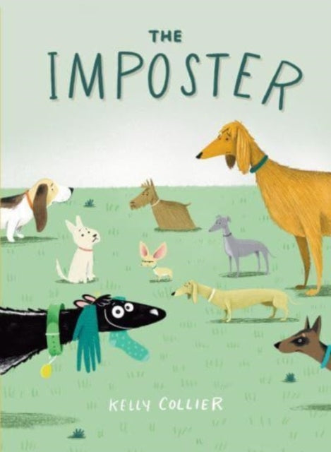 Book cover of: Imposter. By: Kelly Collier