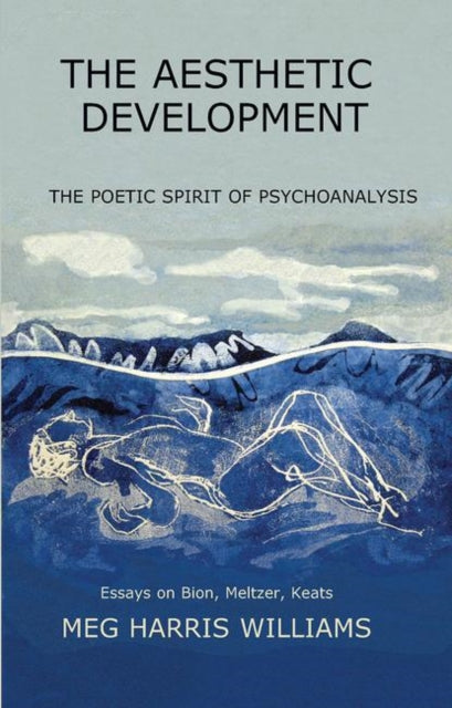 Book cover of: Aesthetic Development