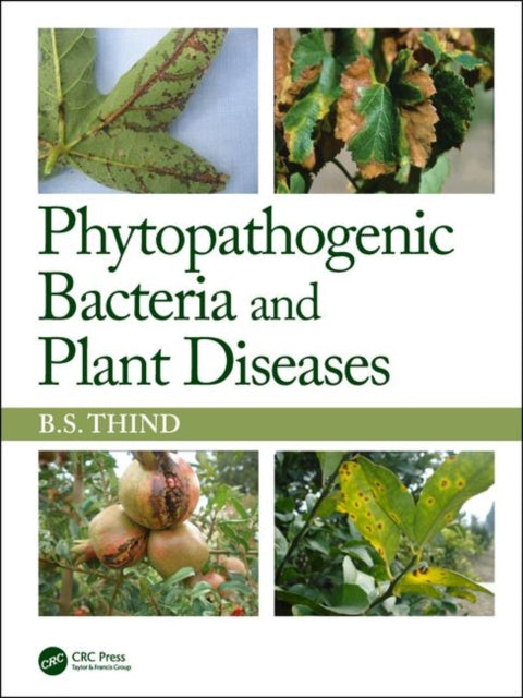 Book cover of: Phytopathogenic Bacteria and Plant Diseases. By: B. S. Thind