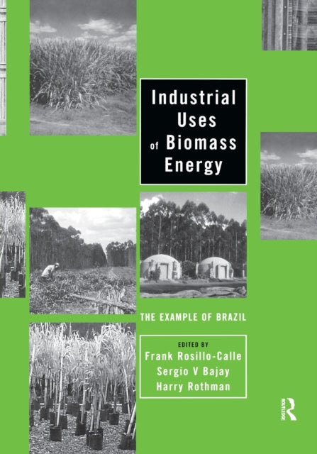 Book cover of: Industrial Uses of Biomass Energy. By: Frank Rosillo-Calle