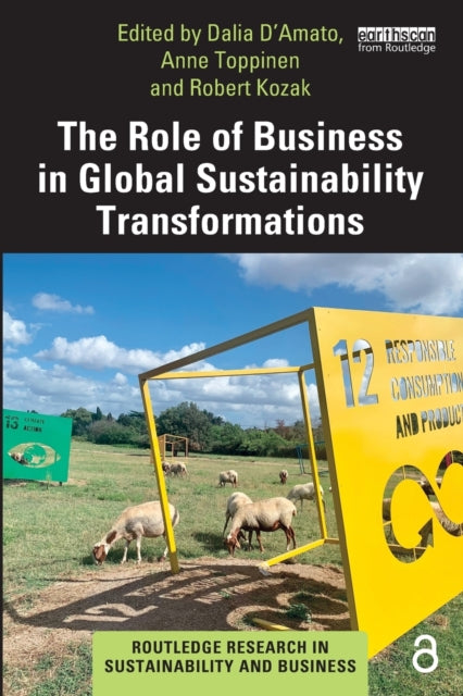 Book cover of: Role of Business in Global Sustainability Transformations. By: Dalia DAmato