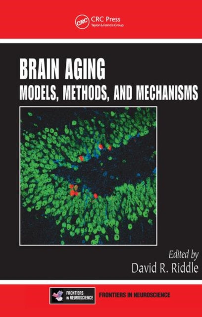 Book cover of: Brain Aging