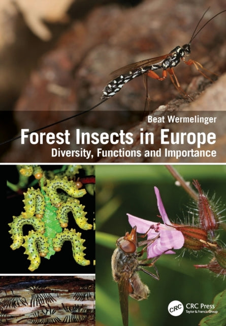 Book cover of: Forest Insects in Europe. By: Beat Wermelinger