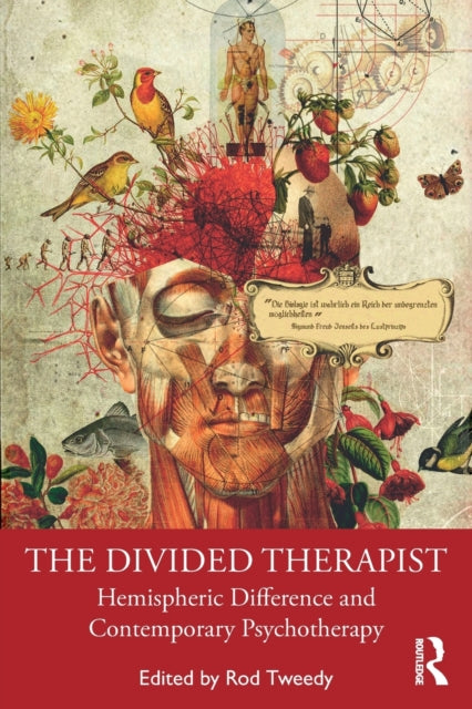 Book cover of: Divided Therapist. By: Rod Tweedy