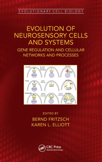 Book cover of: Evolution of Neurosensory Cells and Systems. By: Bernd Fritzsch