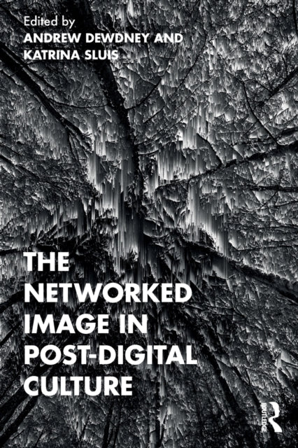 Book cover of: Networked Image in Post-Digital Culture. By: Andrew Dewdney
