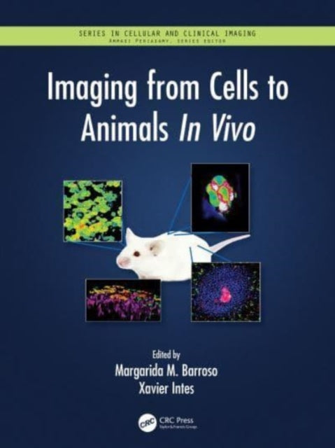 Book cover of: Imaging from Cells to Animals In Vivo. By: Margarida Barroso