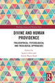 Book cover of: Divine and Human Providence. By: Ignacio Alberto Silva
