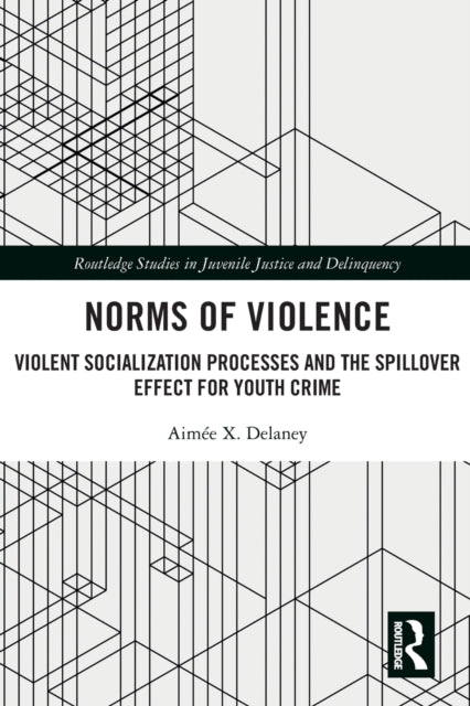 Book cover of: Norms of Violence. By: Aimée X. Delaney