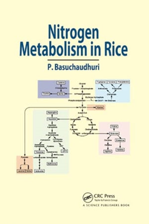 Nitrogen Metabolism in Rice