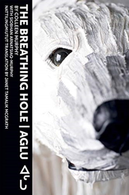 Book cover of: Breathing Hole. By: Colleen Murphy