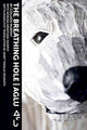 Book cover of: Breathing Hole. By: Colleen Murphy