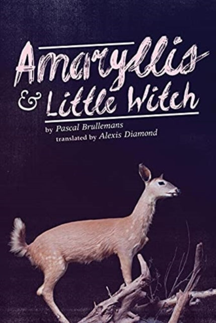 Book cover of: Amaryllis & Little Witch. By: Pascal Brullemans