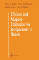 Book cover of: Efficient and Adaptive Estimation for Semiparametric Models