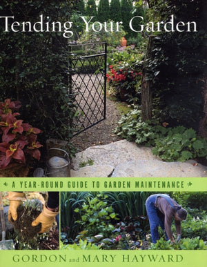 Tending Your Garden
