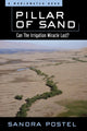 Book cover of: Pillar of Sand. By: Sandra Postel