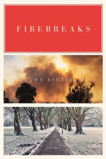 Book cover of: Firebreaks. By: Kinsella, John