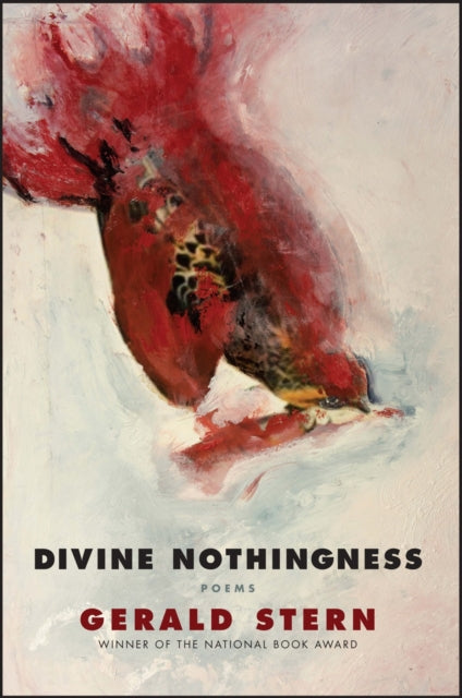Book cover of: Divine Nothingness. By: Gerald Stern