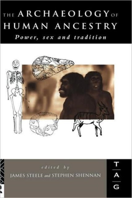 Book cover of: Archaeology of Human Ancestry. By: James Steele