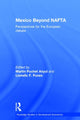 Book cover of: Mexico Beyond NAFTA. By: Lionella Punzo