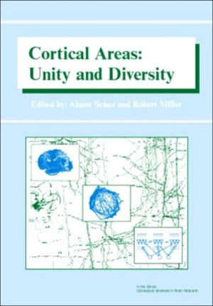Cortical Areas