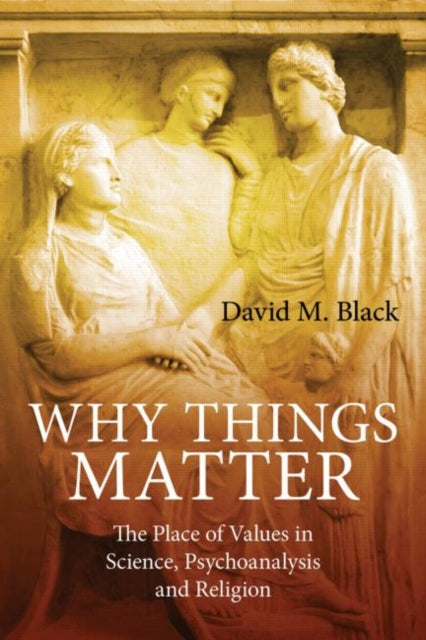 Book cover of: Why Things Matter. By: David M. Black