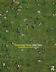 Book cover of: Great City Parks. By: Alan Tate