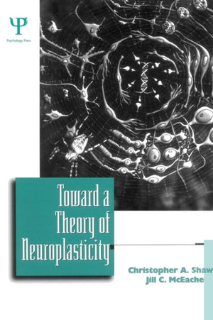 Toward a Theory of Neuroplasticity