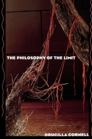 Philosophy of the Limit