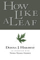 Book cover of: How Like a Leaf. By: Donna Haraway