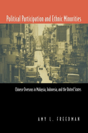 Political Participation and Ethnic Minorities