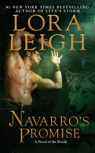 Book cover of: Navarro's Promise