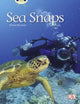 Book cover of: Bug Club Independent Non Fiction Year 1 Green A Sea Snaps. By: Diana Noonan