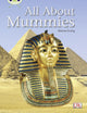 Book cover of: Bug Club Guided Non Fiction Year Two Purple A All About Mummies. By: Dianne Irving
