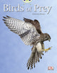 Book cover of: Bug Club Independent Non Fiction Year Two White A Birds of Prey. By: Johanna Rohan