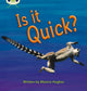 Book cover of: Bug Club Phonics - Phase 3 Unit 7: Is It Quick?. By: Mónica Hughes
